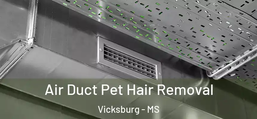 Air Duct Pet Hair Removal Vicksburg - MS