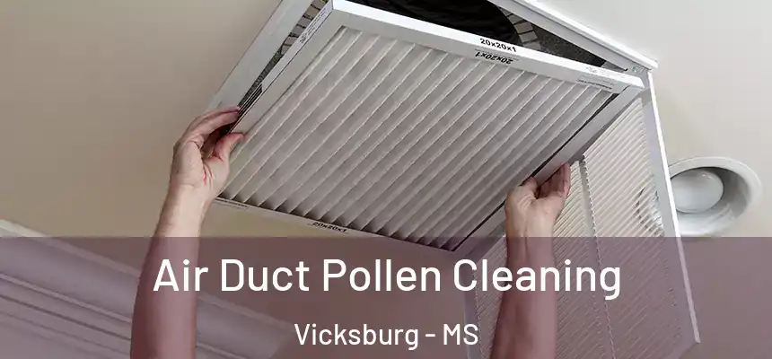 Air Duct Pollen Cleaning Vicksburg - MS