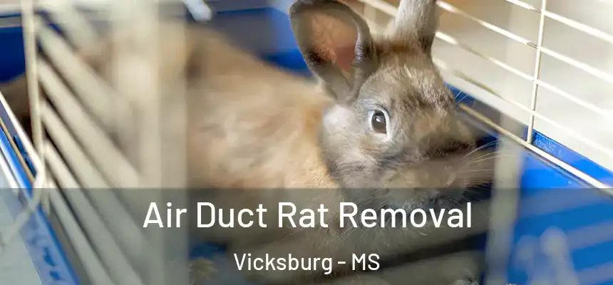 Air Duct Rat Removal Vicksburg - MS