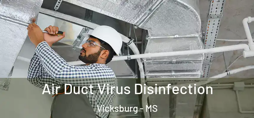  Air Duct Virus Disinfection Vicksburg - MS