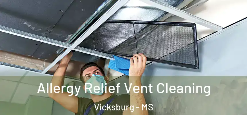 Allergy Relief Vent Cleaning Vicksburg - MS