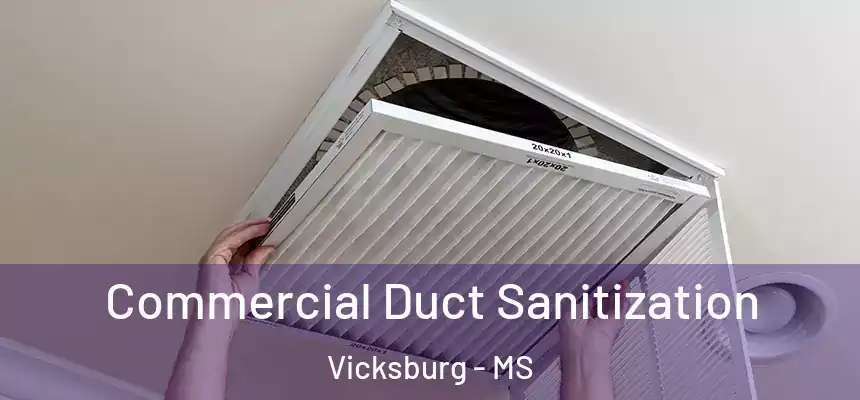 Commercial Duct Sanitization Vicksburg - MS