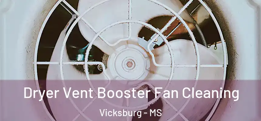  Dryer Vent Booster Fan Cleaning Vicksburg - MS