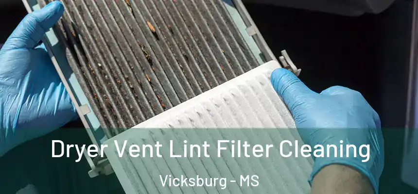  Dryer Vent Lint Filter Cleaning Vicksburg - MS