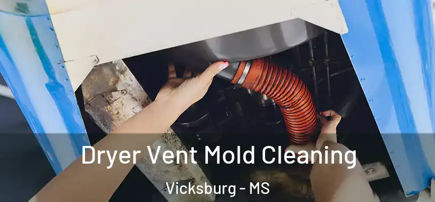 Dryer Vent Mold Cleaning Vicksburg - MS