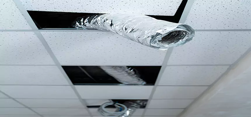 Our Air Duct Pet Hair Removal Services in Vicksburg, MS