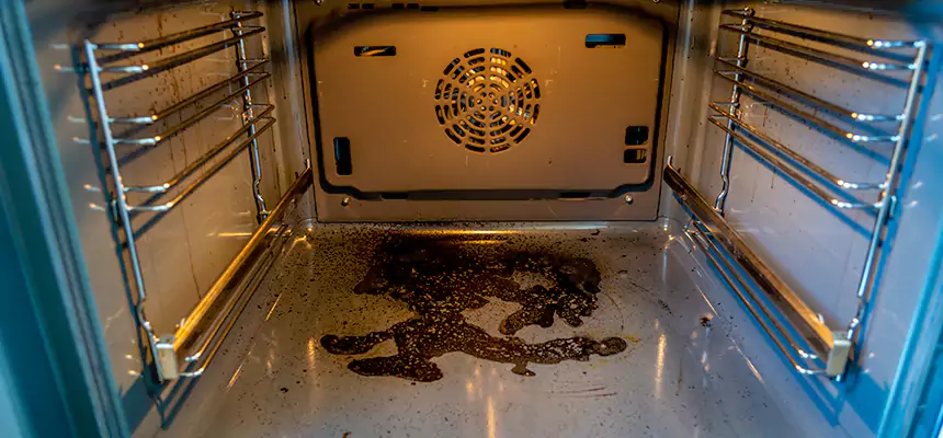 Our Dryer Vent Mold Cleaning Services in Vicksburg, MS