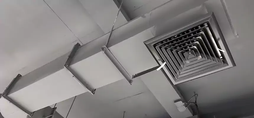 Our Pest Removal From Ducts Services in Vicksburg, MS