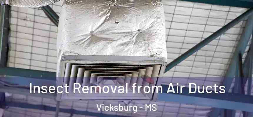  Insect Removal from Air Ducts Vicksburg - MS