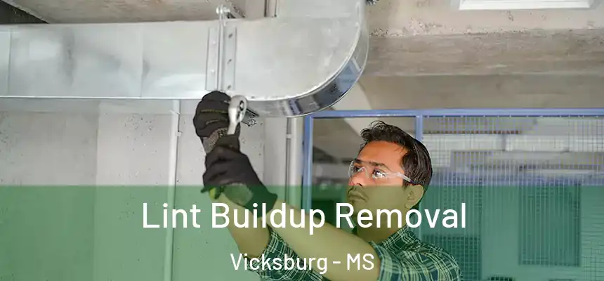 Lint Buildup Removal Vicksburg - MS