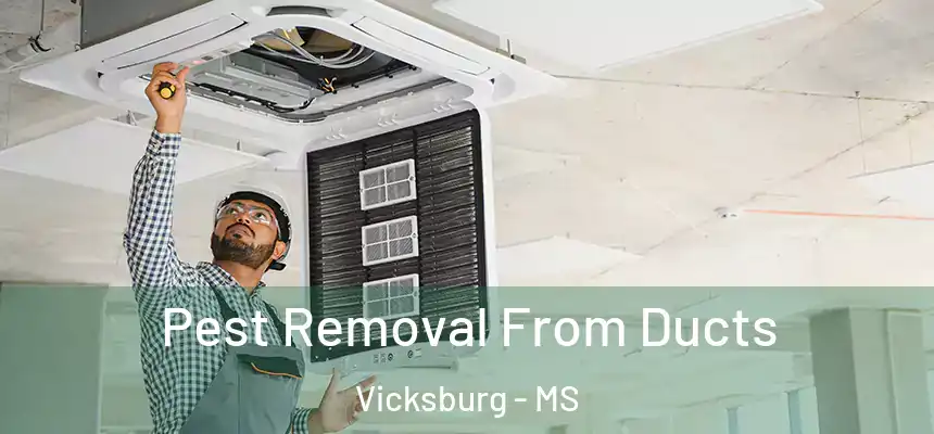  Pest Removal From Ducts Vicksburg - MS