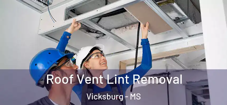  Roof Vent Lint Removal Vicksburg - MS
