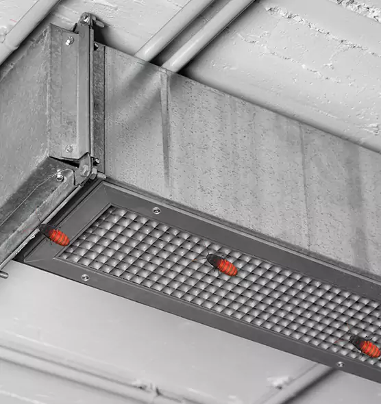 Affordable Insect Removal from Air Ducts in Vicksburg, MS