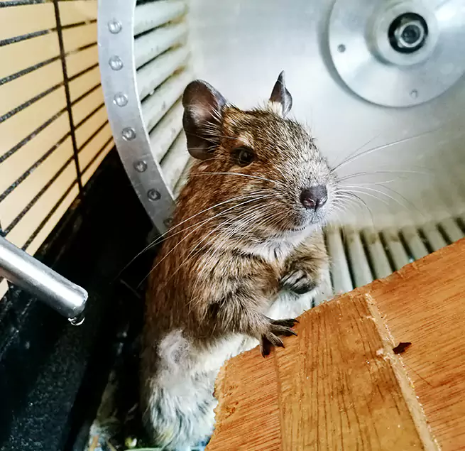 Why Homeowners & Businesses Trust Us Vicksburg, MS