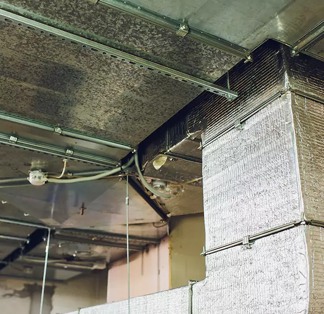 Why Homeowners & Businesses Trust Us in Vicksburg, MS?